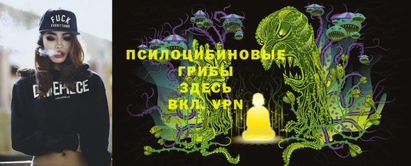 бутират Горнозаводск