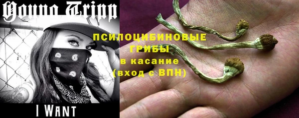 дживик Горно-Алтайск